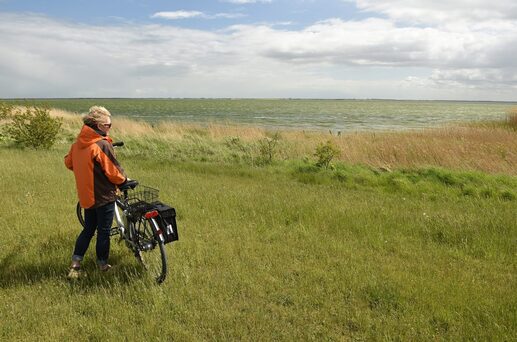 Camping Holiday in Hensbroek