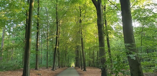 Chalet & Caravanpark De Vossenhoek