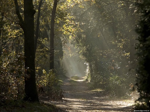 Camping de Witte Wieven