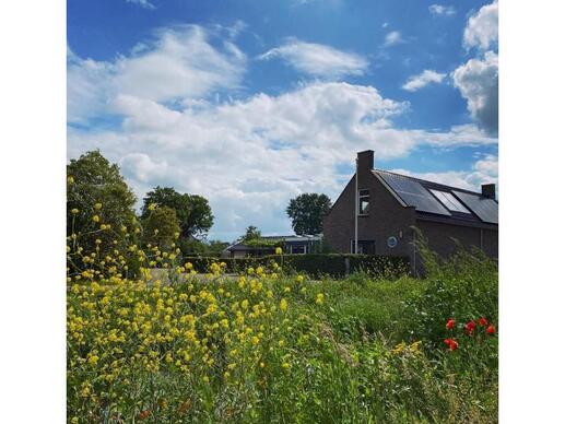 Chalet op Camping Rianto